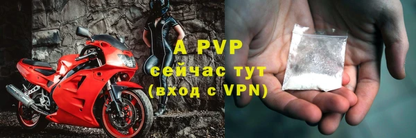 стаф Краснослободск