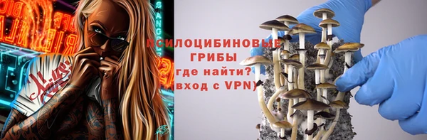 мяу мяу мука Рославль