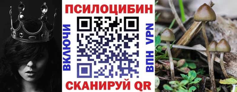 Псилоцибиновые грибы мухоморы  Талдом 