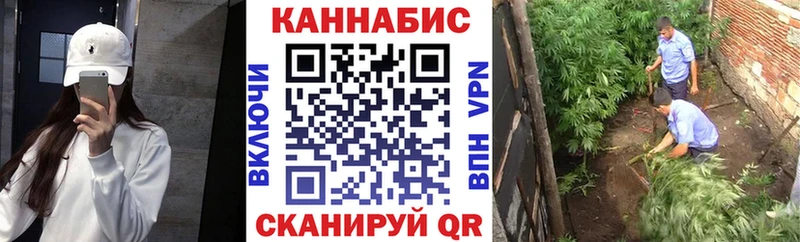 где найти   Талдом  Канабис Bruce Banner 